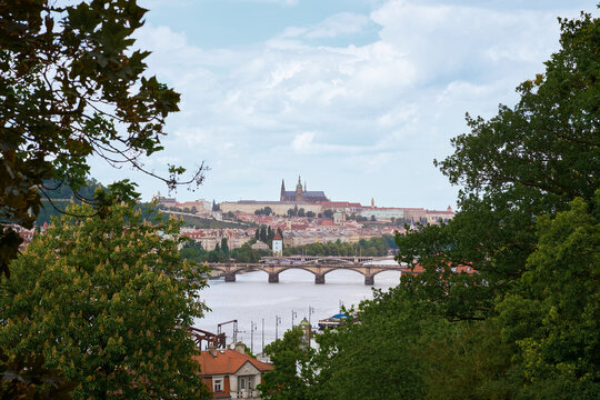 Scenic distant view of Prague Castle and the Vltava River, naturally framed by lush green trees in the foreground.