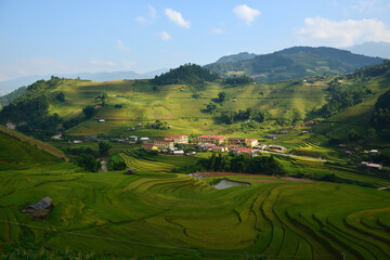 Terraced Rice Fields in Verdant Hills: A breathtaking panorama of vibrant green terraced rice fields cascades down rolling hills. © JKLoma