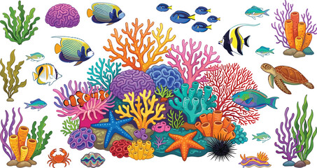 Colorful tropical coral reef and marine life vector illustration collection with sea turtle starfish clownfish and aquatic plants for nature educational design © Protima