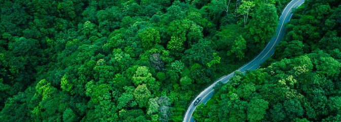 Naklejka premium Forest road background with strong commercial application for sustainability reports, corporate responsibility documents, and green investment communications.