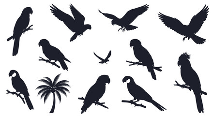 Fototapeta premium Black silhouettes of various parrots and a palm tree on white background