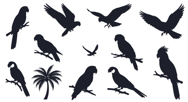 Black silhouettes of various parrots and a palm tree on white background