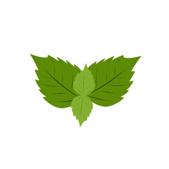 Mint leaf vector illustration. Fresh mint leaf illustration. Vector mint leaf with a distinctive aroma. Flat design of mint leaves © Rsi_Design