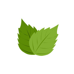 Mint leaf vector illustration. Fresh mint leaf illustration. Vector mint leaf with a distinctive aroma. Flat design of mint leaves © Rsi_Design