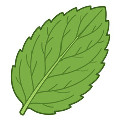 Fresh Green Mint Leaf Herbal © priska