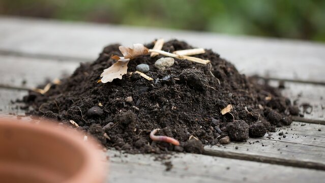 planting seeds in soil