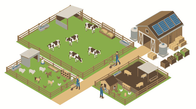 Isometric illustration of a modern farm with cows, sheep, pigs, and chickens, featuring solar panels on the barn roof.