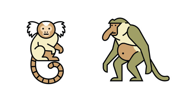 Two different funny monkeys including a marmoset with white tufted ears and a proboscis monkey with a long nose.