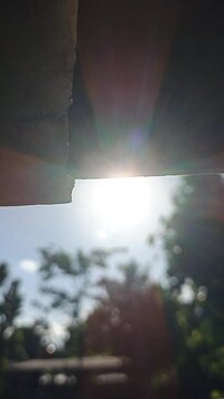 Sunlight Through a Wall Gap with Trees Swaying in the Wind