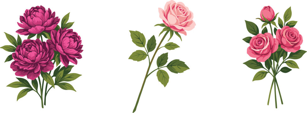 Vintage rose and peony flower bouquet vector illustration collection with pink blossoms stems and leaves isolated on white background for design