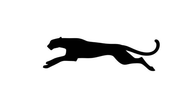 silhouette of a leopard