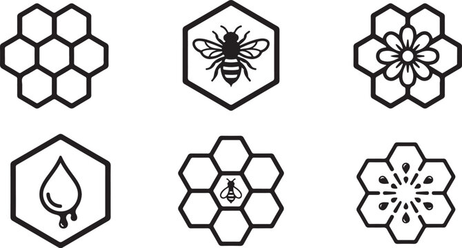 Hexagonal honeycomb icons with bee and flower elements in black and white vector style Vector
