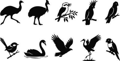 Australian Native Birds Silhouette Vector Set Featuring Emu Cassowary Kookaburra Cockatoo Black Swan Crane and Parrot Graphic Icons © Ruhul