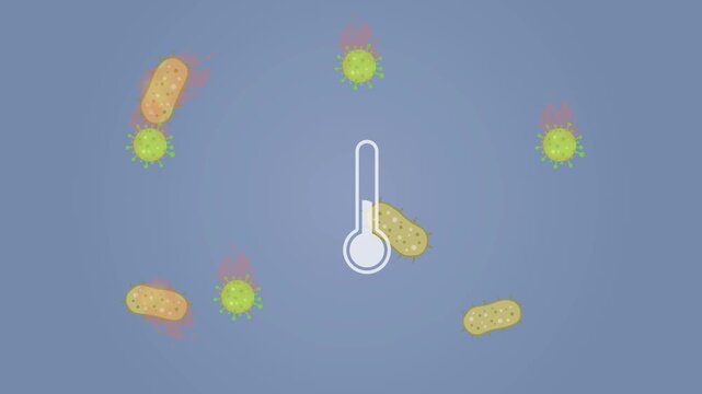 germ and bacteria burn in fire as temperature rise. Fever destroy infection
