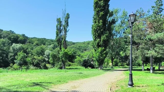 Serene Sunny Park Path with Lush Greenery and Vintage Lamp Post - Peaceful Summer Landscape Background