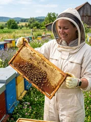 Beekeeper in Protective Suit Inspects Honeycomb Full of Bees and Honey. © Dece Std