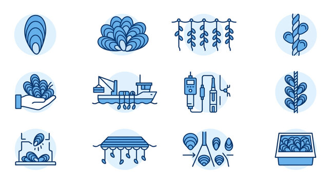 Commercial mussel farming and shellfish aquaculture icon set.