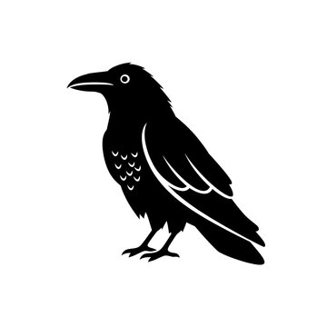 Raven vector silhouette isolated on a white background
