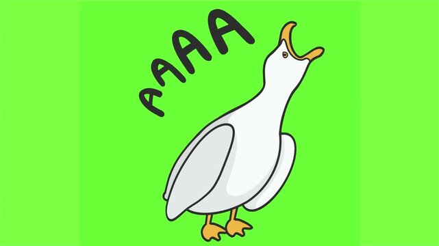 Screaming Duck, Angry Duck Meme with Green Screen for Video Element and Transition 2D Animation