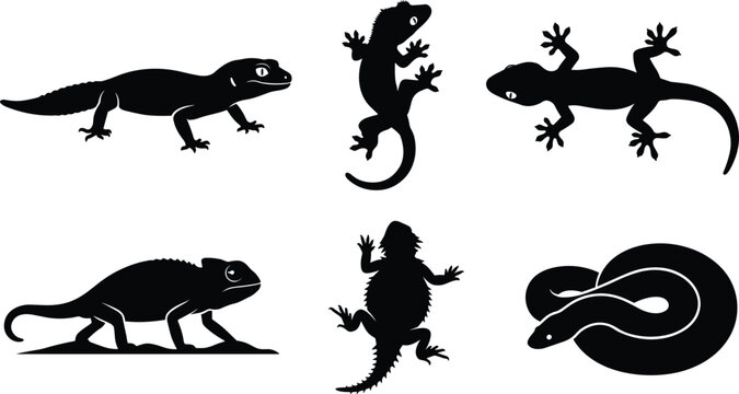 Exotic Reptile Silhouette Vector Set Featuring Leopard Gecko, Crested Gecko, Chameleon, Bearded Dragon, and Coiled Snake IconsExotic Reptile Silhouette Vector Set Featuring Leopard Gecko, Crested Geck