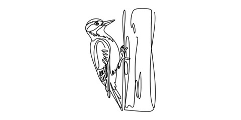 Continuous single line drawing of a woodpecker bird perched on a tree trunk © Bobita