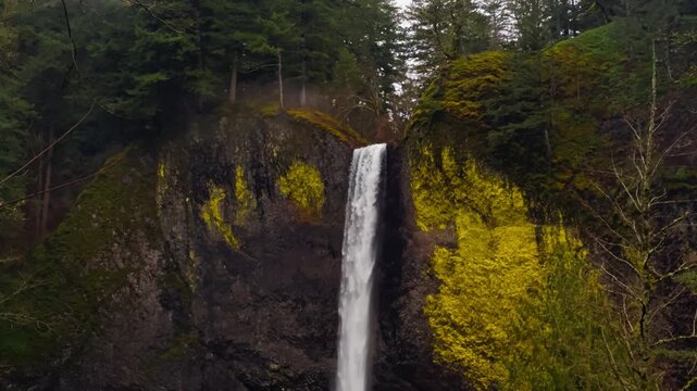 Latourell Falls descending between basalt cliffs and bright spring foliage, establishing tilt down to pool