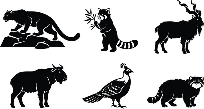 Himalayan Wildlife Silhouette Vector Set Featuring Snow Leopard Red Panda Markhor Takin Himalayan Monal Pheasant and Pallas Cat Icons