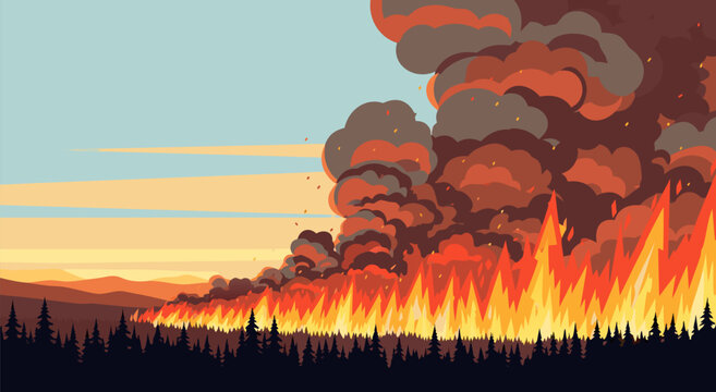 Forest wildfire disaster emergency vector illustration design showing smoke and burning trees in the wilderness nature landscape background