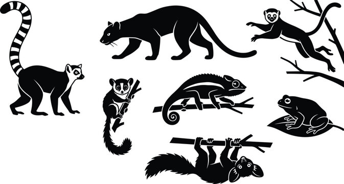 Madagascar Wildlife Silhouette Vector Set Featuring Ring Tailed Lemur Fossa Indri Chameleon Mouse Lemur Aye Aye and Frog Icons