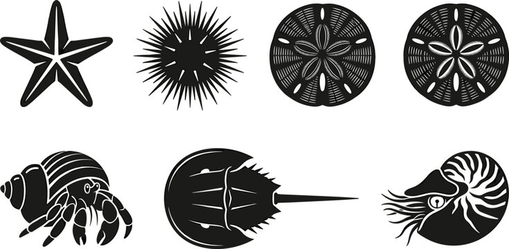 Marine Invertebrates Silhouette Vector Set Featuring Starfish Sea Urchin Sand Dollar Hermit Crab Horseshoe Crab and Nautilus Icons