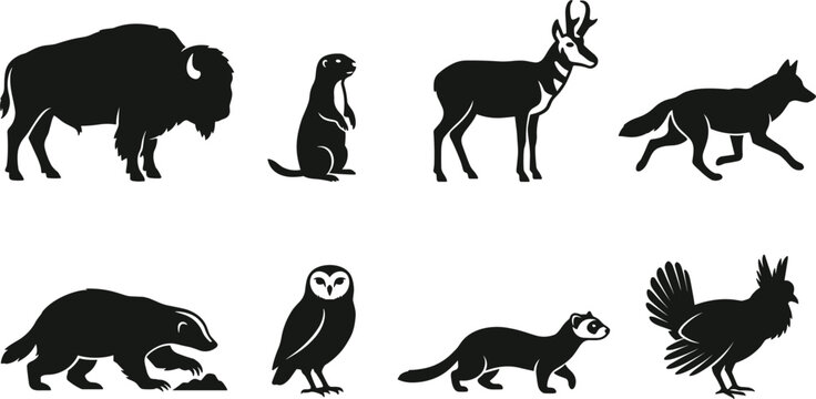 Antarctic and Arctic Marine Wildlife Silhouette Vector Set Featuring Seals Elephant SeaNorth American Prairie Wildlife Silhouette Vector Set Featuring Bison Pronghorn Prairie Dog Coyote Badger Burrowi
