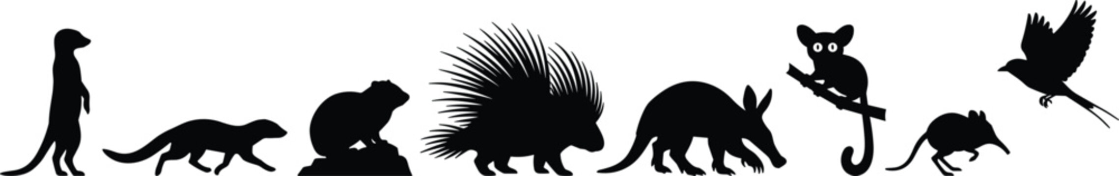 Wild African Small Mammals Silhouette Vector Set Featuring Meerkat Mongoose Hyrax Porcupine Aardvark Bushbaby Elephant Shrew and Bird Icons