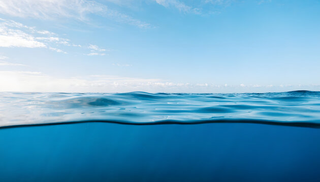 Split view of the ocean surface with a clear blue sky above and deep blue water below, showing the horizon line and gentle waves