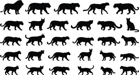 Collection of black silhouettes of various big cats and domestic cats in motion lion tiger © GR Graphics