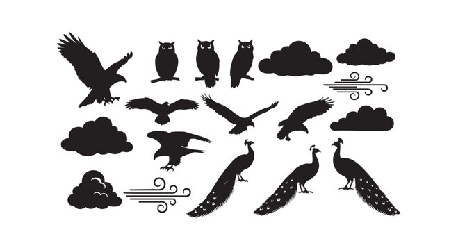 Set of black silhouettes featuring eagles owls clouds and elegant peacocks for natural themed graphic design projects.