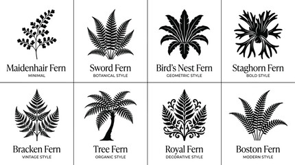 Black Fern Plant Silhouette Collection Featuring Maidenhair Sword Birds Nest Staghorn Bracken Tree Royal and Boston Fern Vector Set © SHOJEB