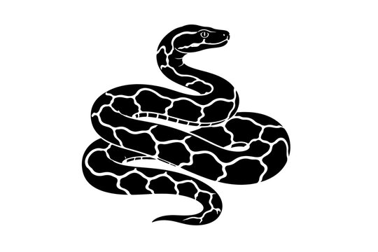 Coiled Python Snake Black Silhouette Icon Isolated on White