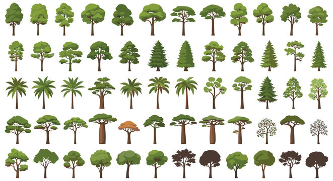 Large catalog set of diverse green tree species including palms, pines, oaks, and baobabs on white background.