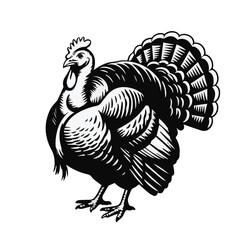 Minimal vector art featuring a turkey chicken. Adorable farm bird illustration with simple lines, colorful details, and friendly animal character design. © primus