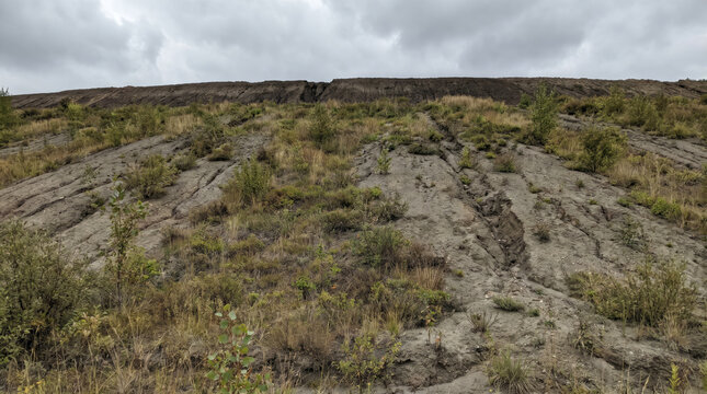 Seed hydroseeding pattern on fresh cut slope