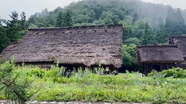 Cinematic Push In Through Wildflowers to Historic Gassho Houses in Misty Shirakawa-go, Japan