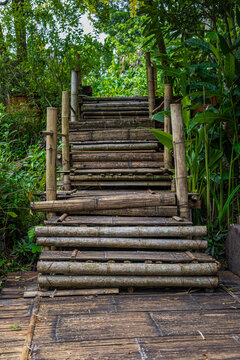 Rustic Bamboo Staircase in a Lush Tropical Forest Garden