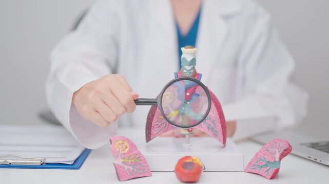 Doctor with Smoker Lung anatomy with magnifying glass. Lung Cancer, Asthma, Chronic Obstructive Pulmonary or COPD, Bronchitis, Emphysema, Cystic Fibrosis, Bronchiectasis, Pneumonia and world Lung day