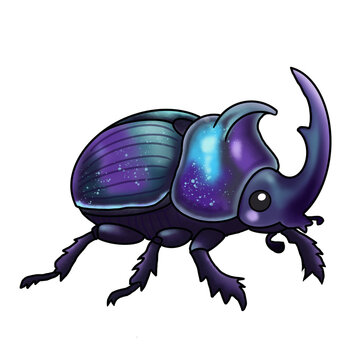  Dung beetle *Copris lunaris* on white background