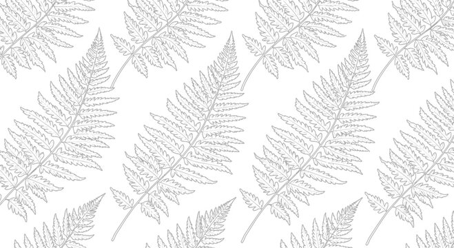 Repeating pattern of detailed fern leaves in shades of gray on white