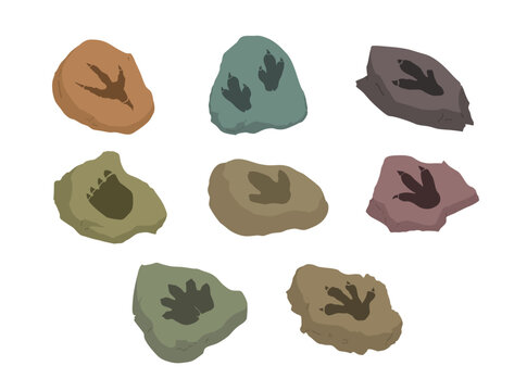 Illustration set featuring various stone shapes with prehistoric dinosaur and ancient animal footprint fossil impressions