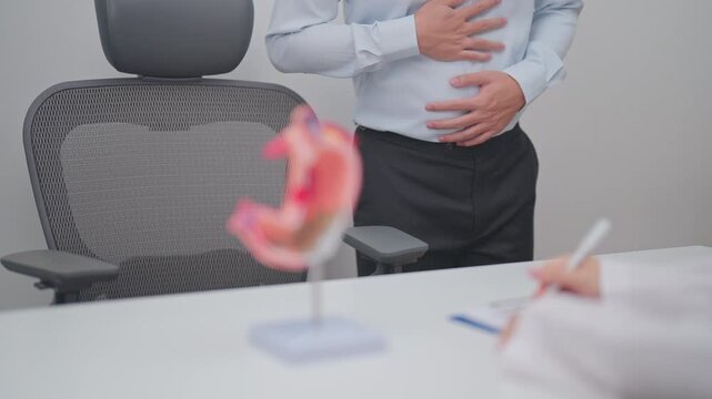 Doctor with Gastric anatomy model. Gastroenterologist consultation, stomach diseases and ulcers, November stomach cancer, Gastroesophageal Reflux Disease, GERD, Acid reflux and healthcare medical
