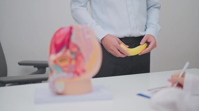 Male Reproductive System anatomy and Banana. Male Impotence consultation, Prostate Cancer, Enlarged prostate, Prostatitis disease, Infertility, Erectile dysfunction, Penis and genital disorder