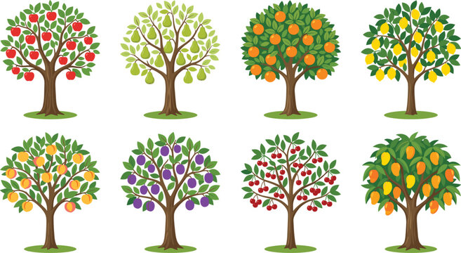 Fruit trees collection featuring vector icons of apple pear orange lemon peach plum cherry and mango isolated on white background