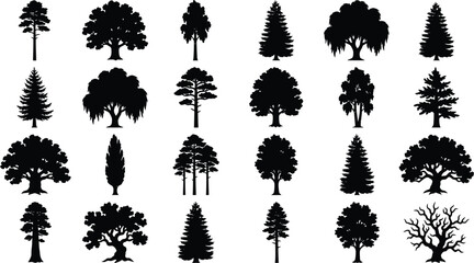 Set of black silhouette trees isolated on transparent background, detailed tree vector illustration. © jim's Cafe